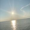 tamhoward0402